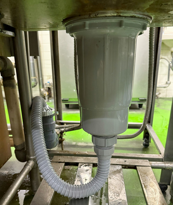 トラップ交換後