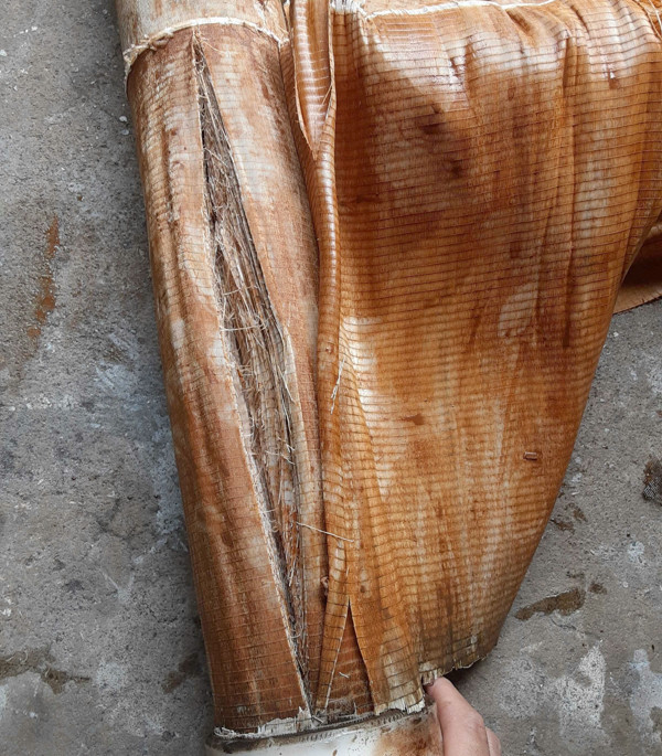 取り外し後の膜モジュール